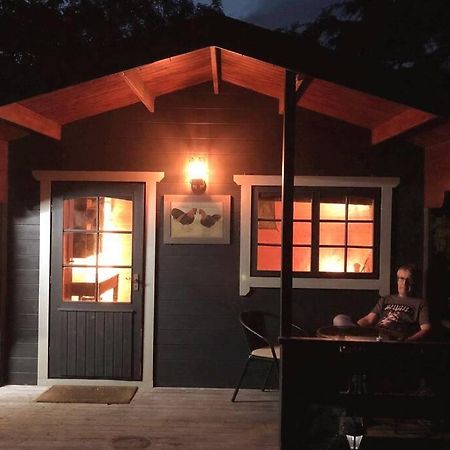 Unique Tiny House Near 3 Peaks - The Zedshed Apartman Bentham Kültér fotó